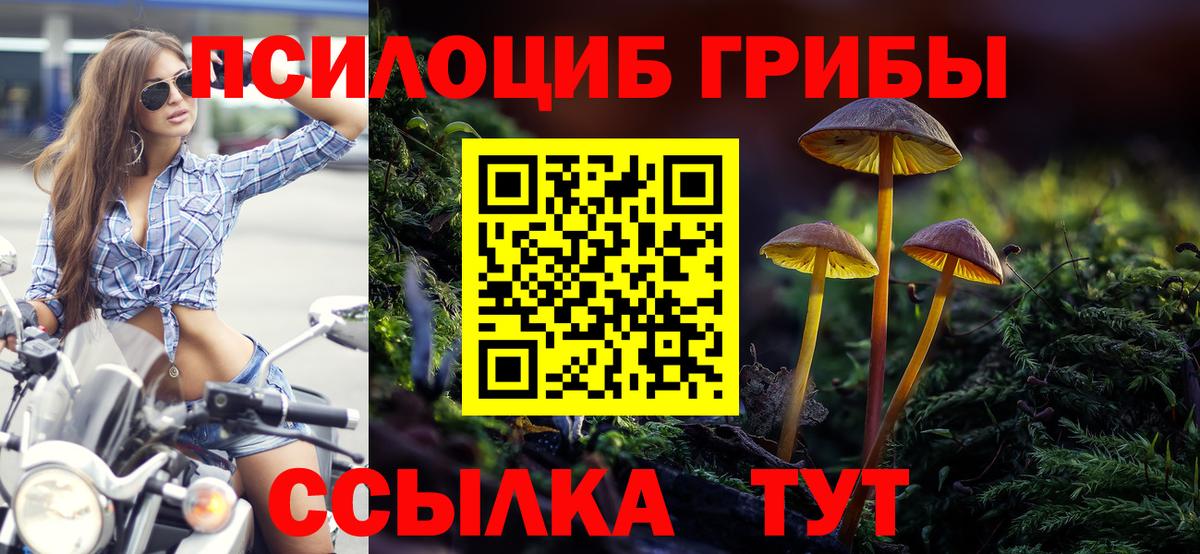 Псилоцибиновые грибы мухоморы Батайск