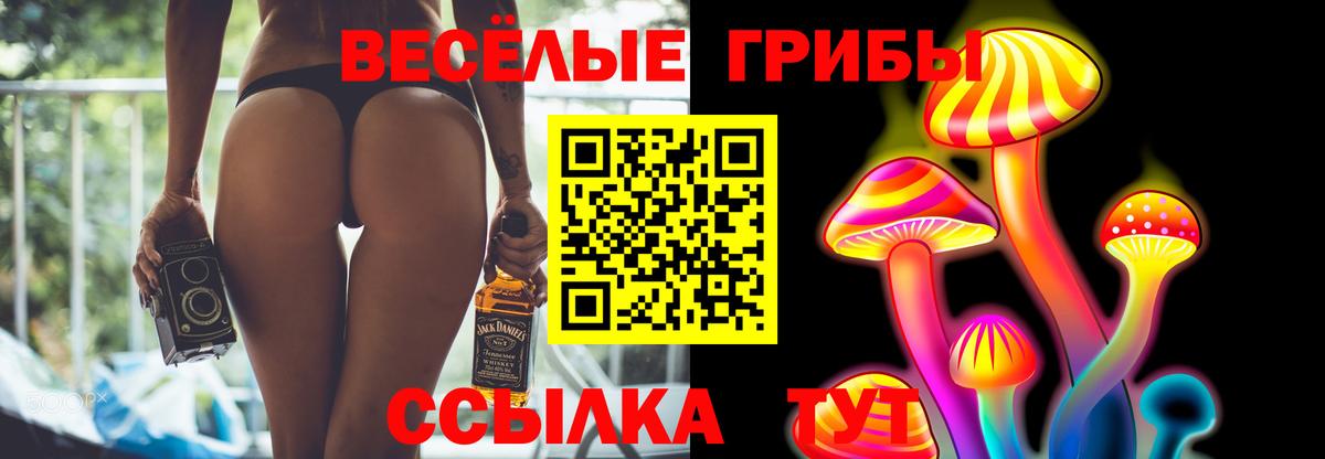 Псилоцибиновые грибы Psilocybe  Вход с VPN  Батайск  Псилоцибиновые грибы MAGIC MUSHROOMS 